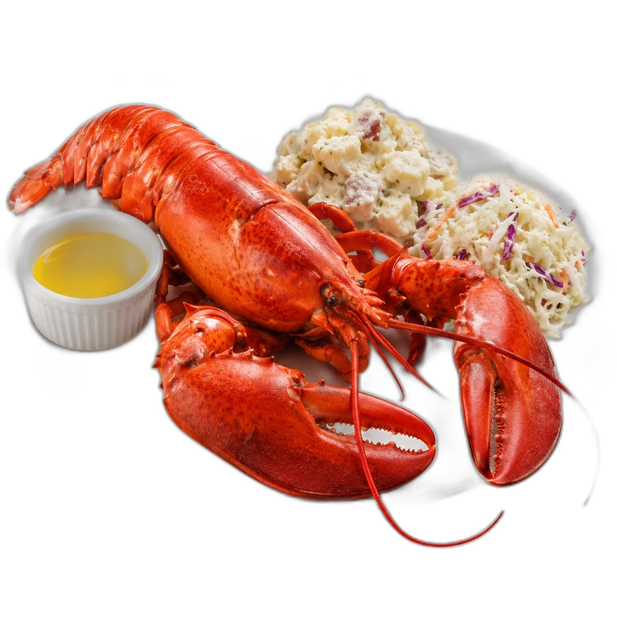Fresh Steamed Lobster
